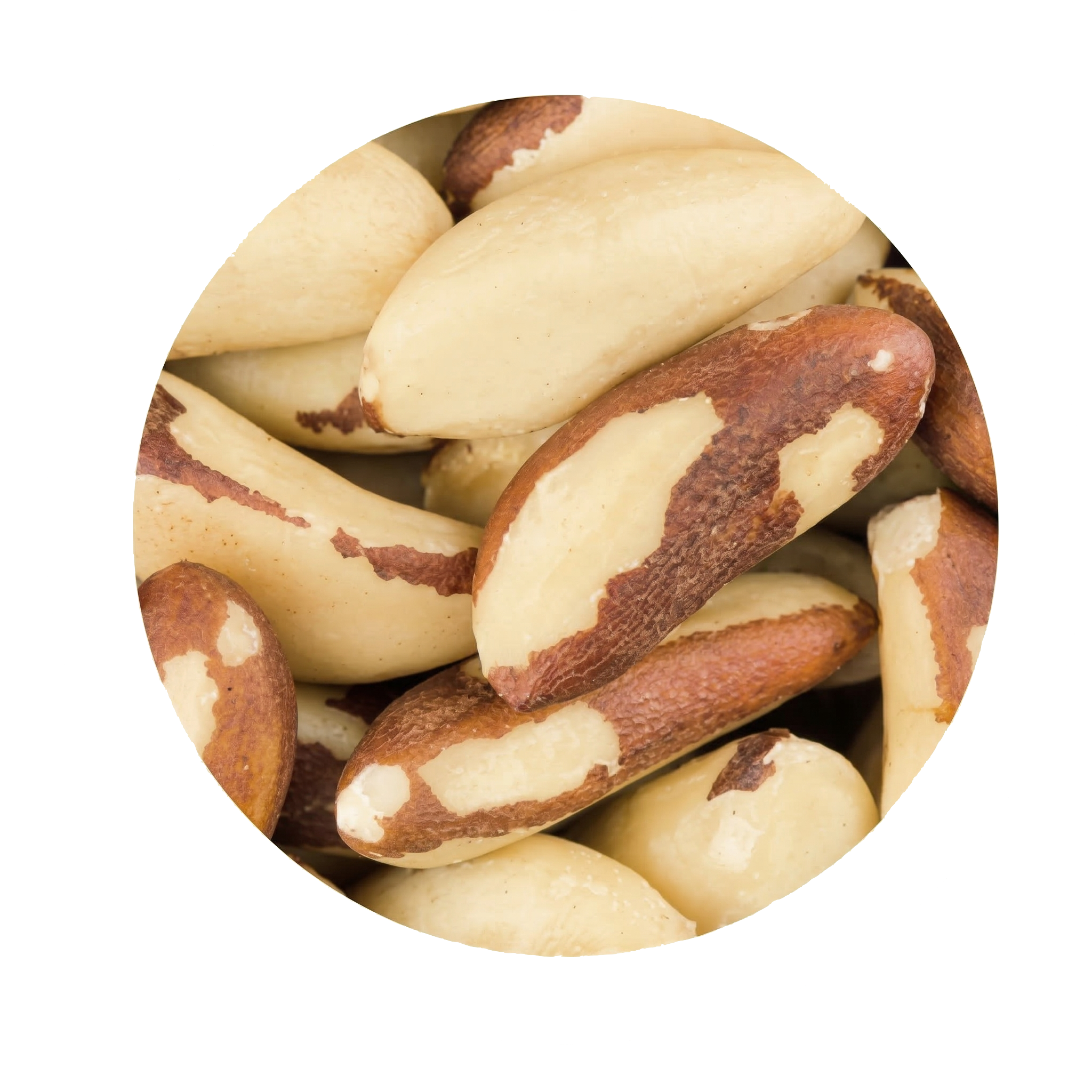 שמן אגוז ברזילאי