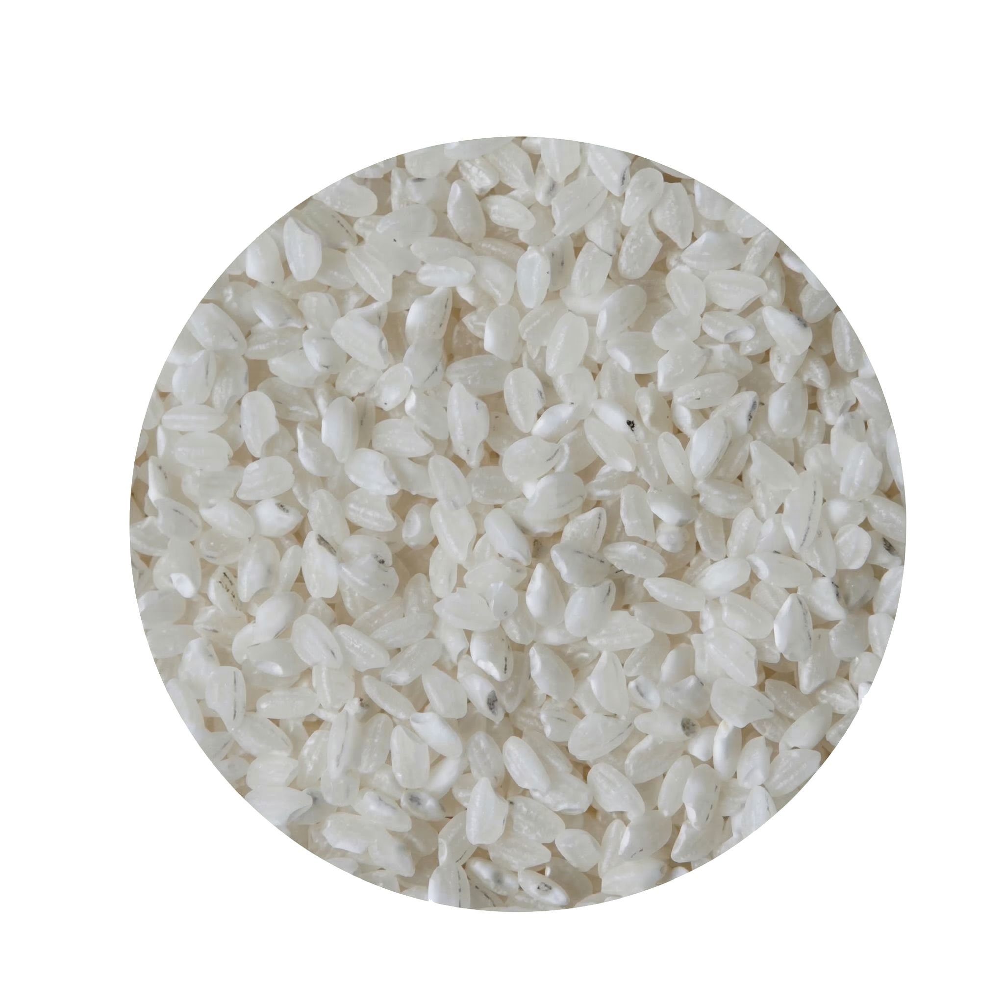 חלבון אורז בהידרוליזה